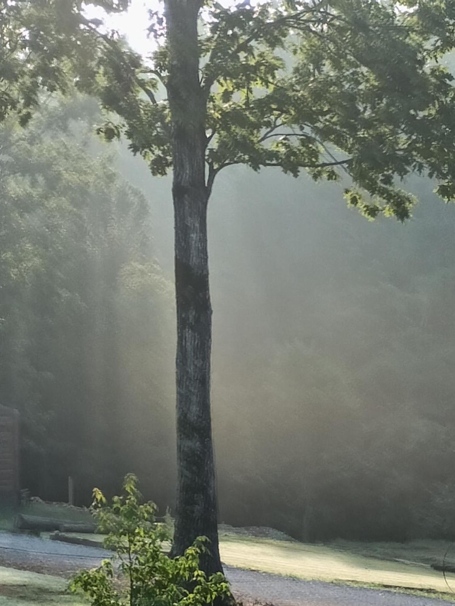 ホテル Waterfront Luxury Glamping Dome Rogersville エクステリア 写真